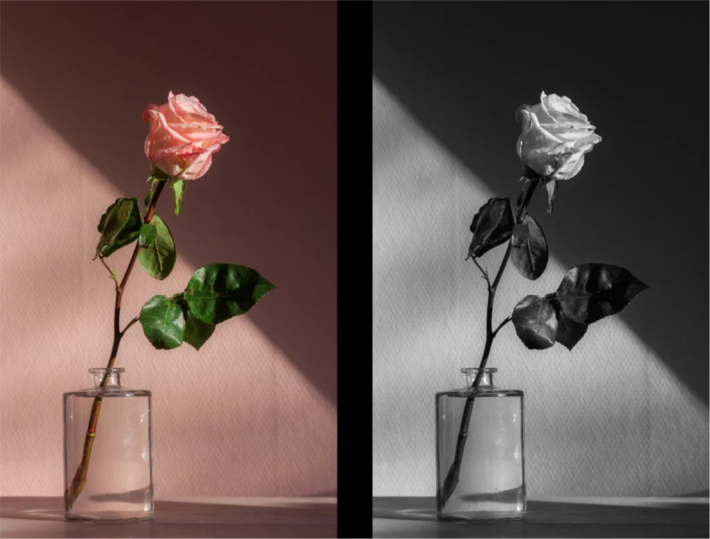 lightroom presets