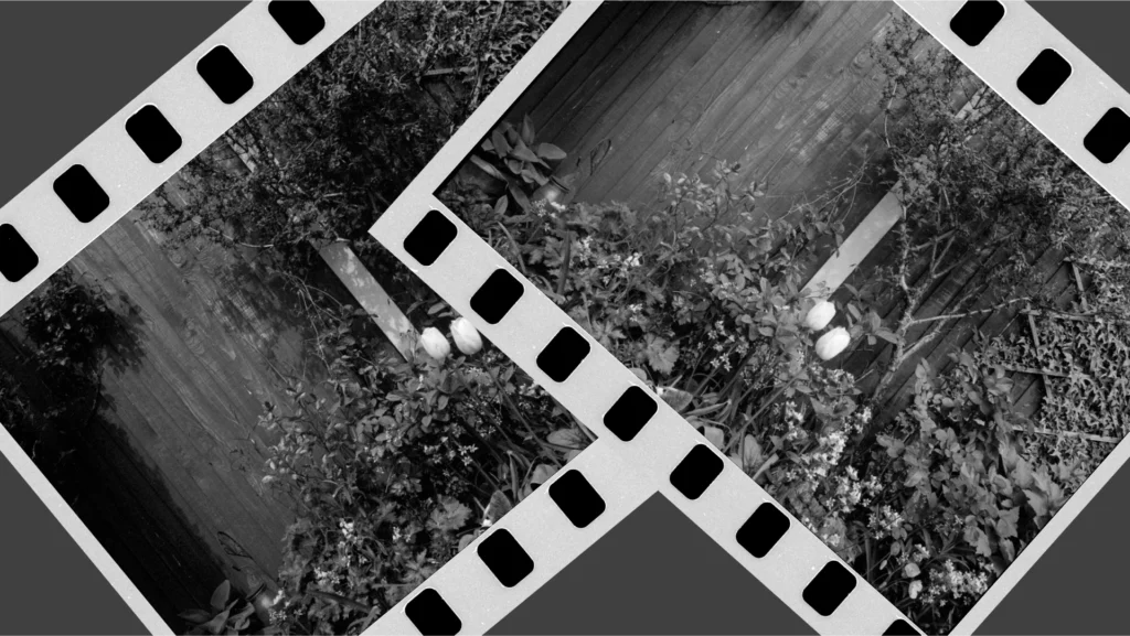 fomapan-200-iso-pyrocat-hd-test