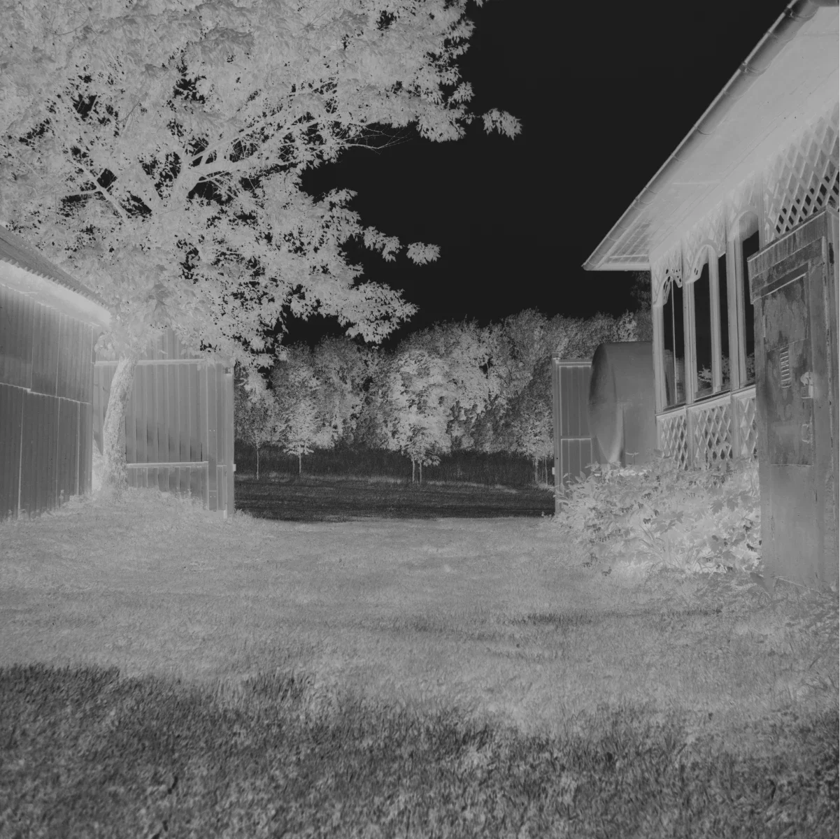 how to make a linear black and white scan