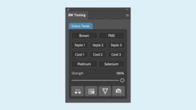 photoshop black and white toning plugin