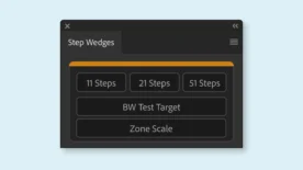 Gray Scale Step Wedge