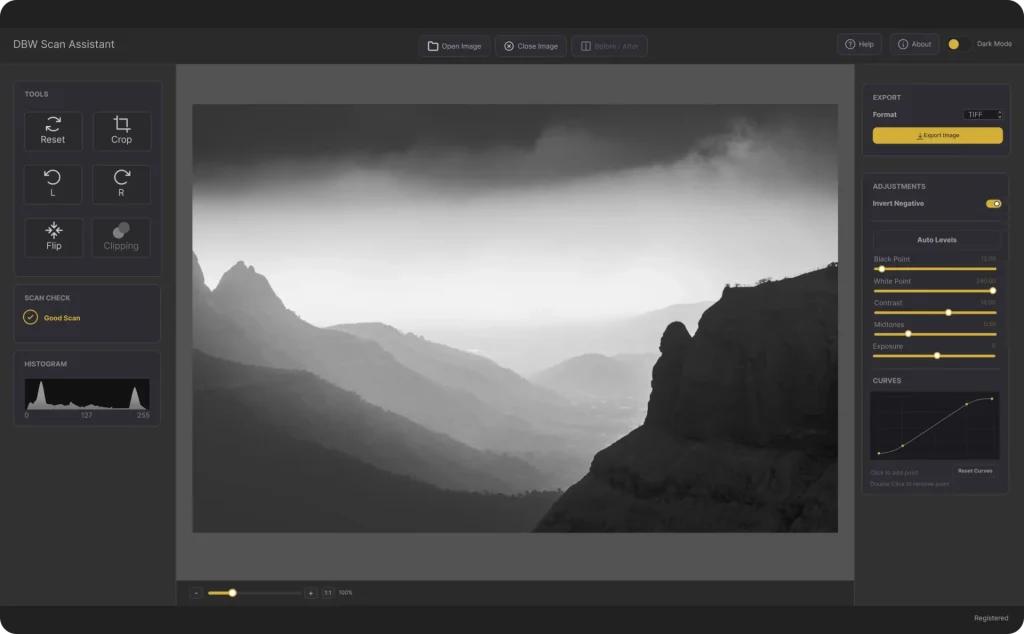 DBW Scan Assistant for converting black and white negatives into positives