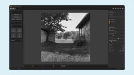 dbw-linear-scans-for-black-and-white-negatives